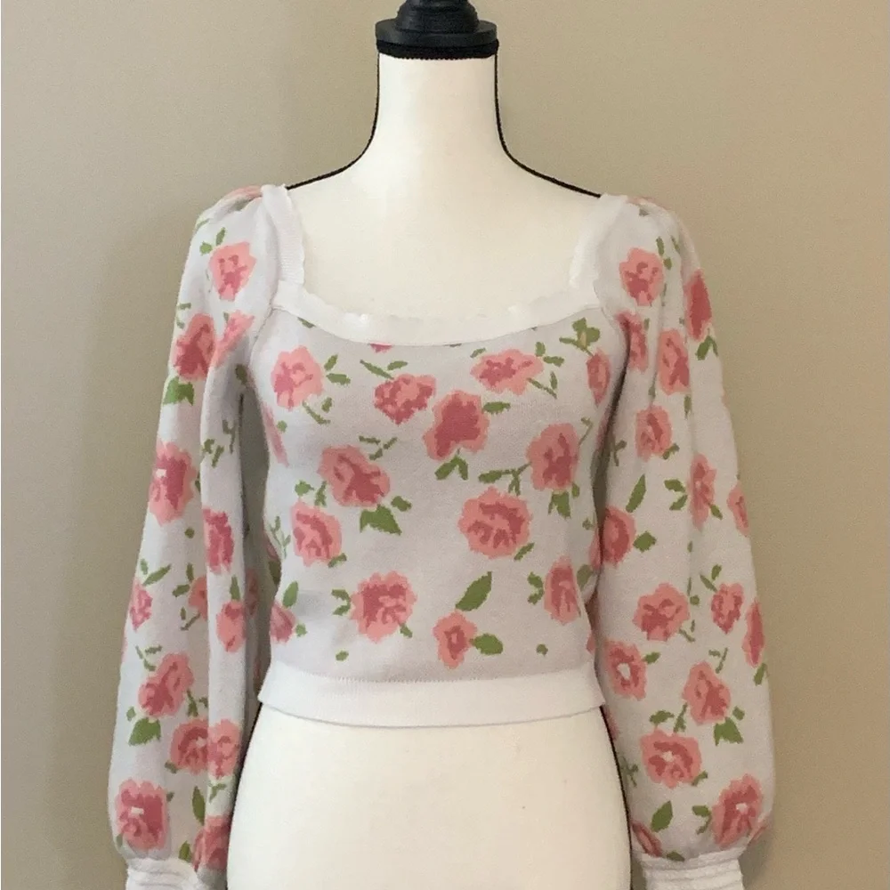 Willow & Wind Floral Knit Sweater with Pink Roses size medium euc - Picture 1 of 5
